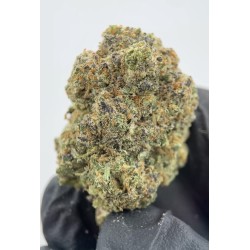 SMALL BUDS CBD NOTHERN...