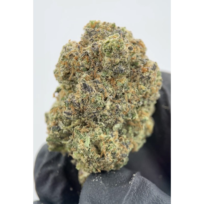 SMALL BUDS CBD NOTHERN LIGHTS HIICBD 10G.