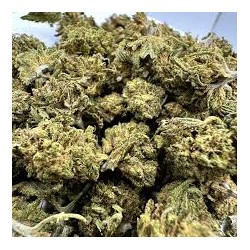 SMALL BUDS CBD GORILLA GLUE...