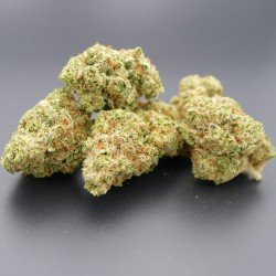 FLORES CBD HIDRO BUBBLEGUM...