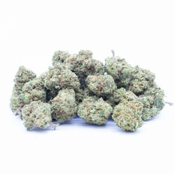 MINI BUDS CBD BLUEBERRY...