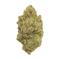 FLORES CBD AMNESIA INTERIOR CRIBACBD