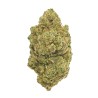 FLORES CBD AMNESIA INTERIOR CRIBACBD