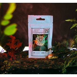 FLOR CBD TROPICAL FRUIT INVERNADERO CRIBACBD