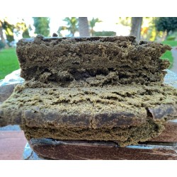 RESINA CBD WILLY WONKA HIICBD