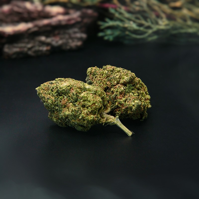 FLORES CBD AMNESIA INTERIOR CRIBACBD