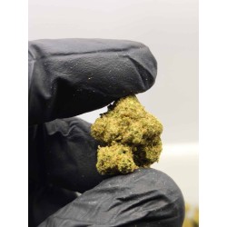 SMALL BUDS CBD 10G. GLASS...