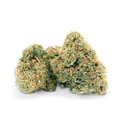 FLORES CBD GLASSHOUSE 5G....