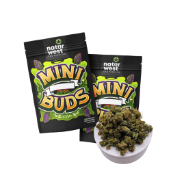 SMALL BUDS 20G CBD AMNESIA HAZE NATURWEST